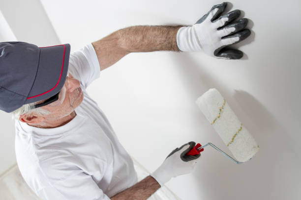 Best Industrial Mold Remediation  in Venice, FL