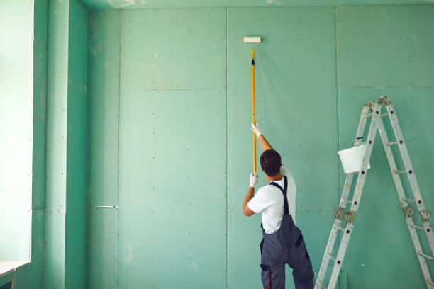 Best Attic Mold Removal  in Venice, FL