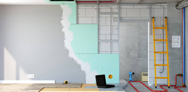 Best Black Mold Removal  in Venice, FL