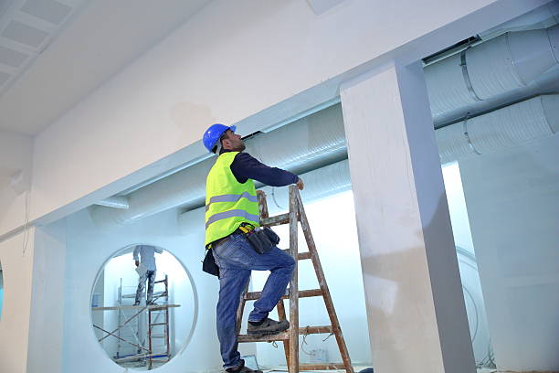 Best Post-Construction Mold Inspection  in Venice, FL